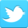 Social Icon Twitter