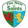 The New Saints Badge