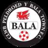 Bala Town Academy
