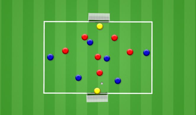 Football/Soccer Session Plan Drill (Colour): SSG