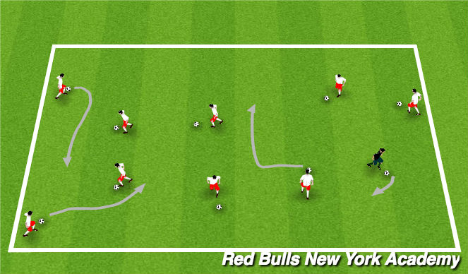 Football/Soccer Session Plan Drill (Colour): Zoo