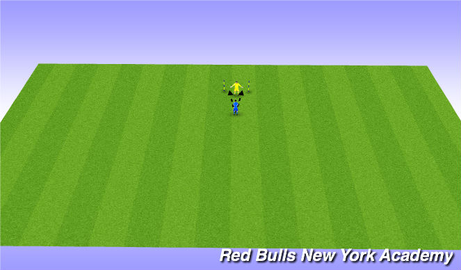 Football/Soccer Session Plan Drill (Colour): Reaction Parrying/Handling