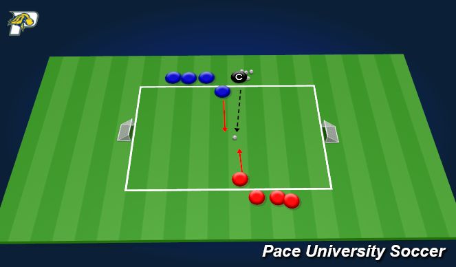 Football/Soccer Session Plan Drill (Colour): Steal the Bacon