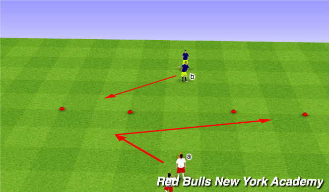 Football/Soccer Session Plan Drill (Colour): SAQ