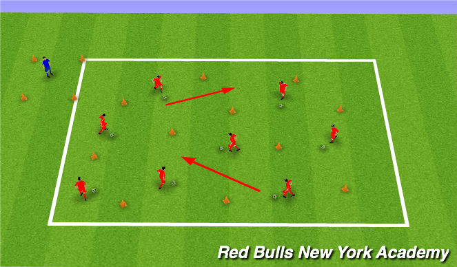 Football/Soccer Session Plan Drill (Colour): Zoo Keeper