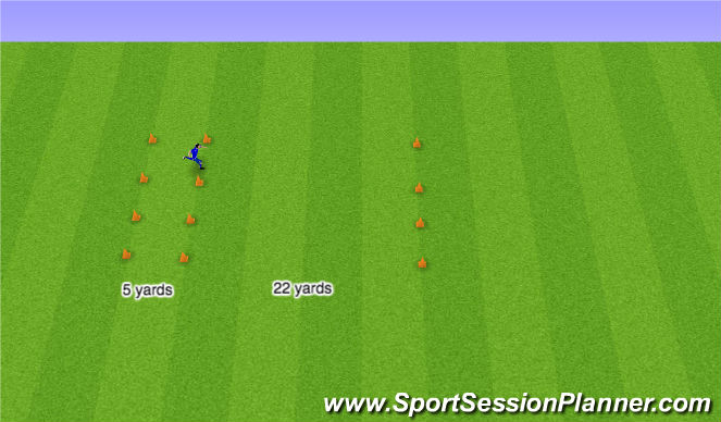 Fútbol Ejercicio del Plan de Sesiones (Color): Yo Yo test