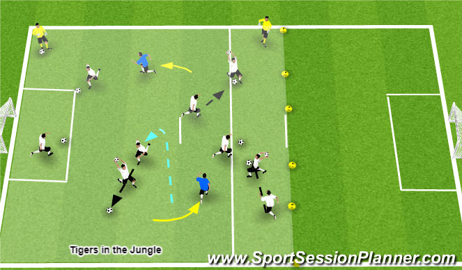 Football/Soccer Session Plan Drill (Colour): Tigers in the Jungle