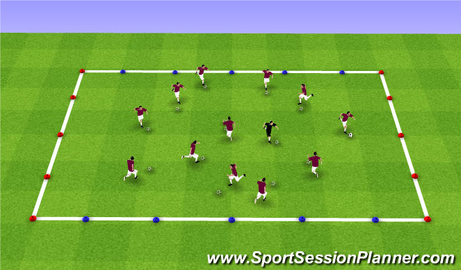 Football/Soccer Session Plan Drill (Colour): Vist to the Sacramento Zoo