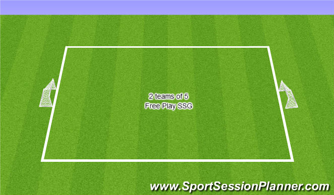 Football/Soccer Session Plan Drill (Colour): Exercise 4: SSG