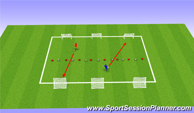 Football/Soccer Session Plan Drill (Colour): Protect the Nets