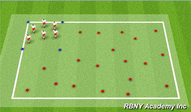 Football/Soccer Session Plan Drill (Colour): Bring the Animal Home