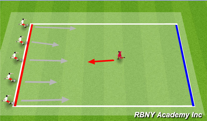 Football/Soccer Session Plan Drill (Colour): Zookeeper