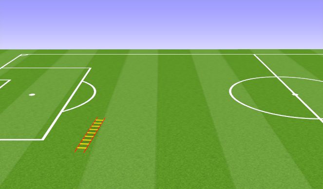 Football/Soccer Session Plan Drill (Colour): Agility Ladder