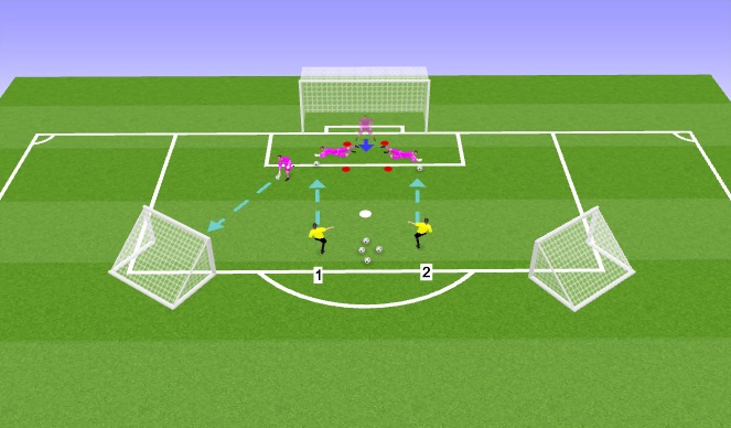 Football/Soccer Session Plan Drill (Colour): Low Diving Technique