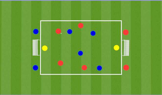 Football/Soccer Session Plan Drill (Colour): SSG