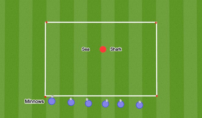 Football/Soccer Session Plan Drill (Colour): Sharks & Minnows