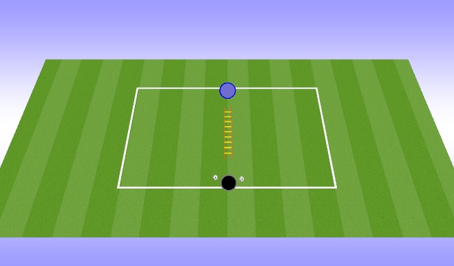 Football/Soccer Session Plan Drill (Colour): Ladder work 1 
