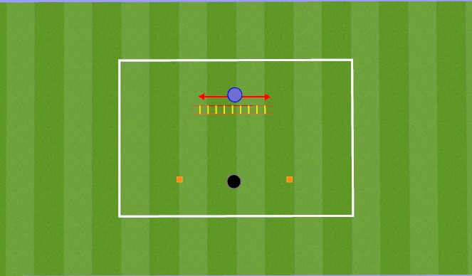 Football/Soccer Session Plan Drill (Colour): Ladder work 2