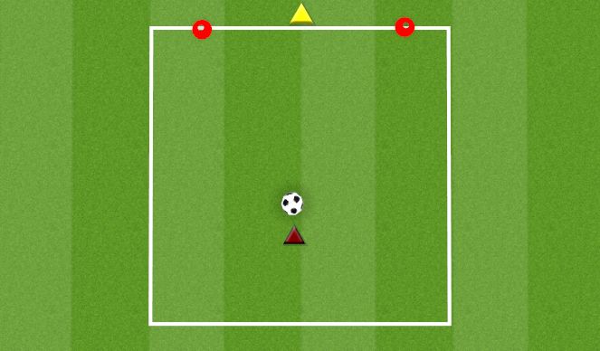 Football/Soccer Session Plan Drill (Colour): GOALKEEPER DIVING