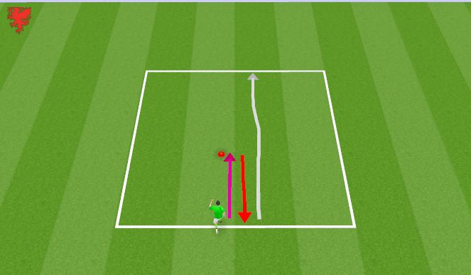 Football/Soccer Session Plan Drill (Colour): Sprint Stamina