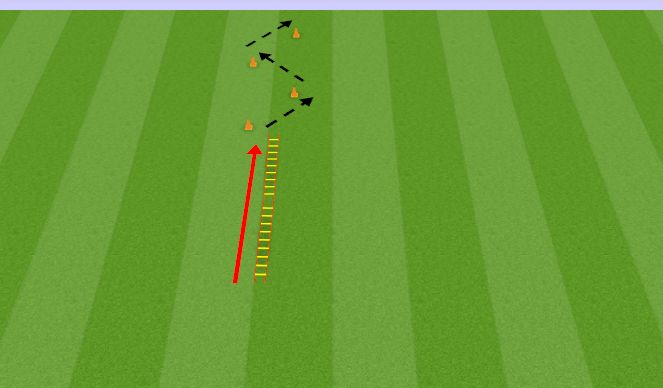 Football/Soccer Session Plan Drill (Colour): Alva - quick feet and defensive shuffle 