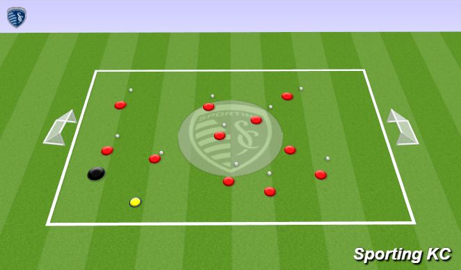 Fútbol Ejercicio del Plan de Sesiones (Color): The Wolf