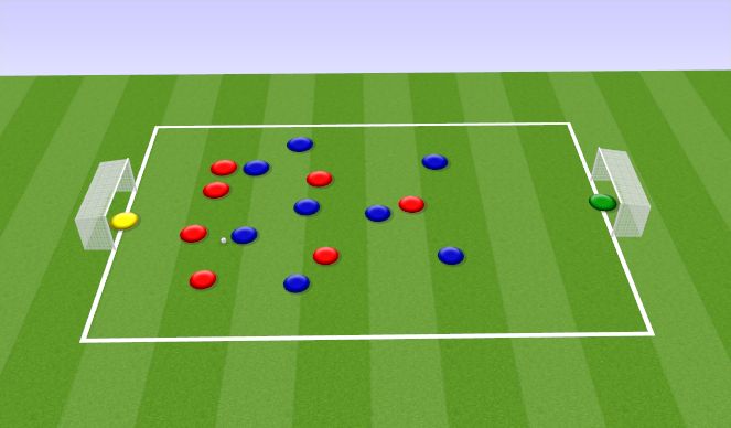 Football/Soccer Session Plan Drill (Colour): SSG