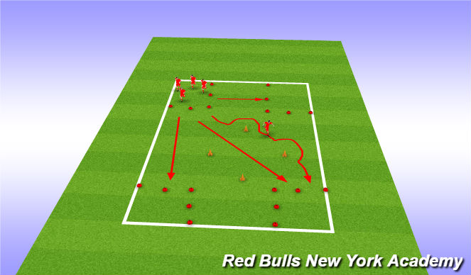 Football/Soccer Session Plan Drill (Colour): four sqaure zoo game