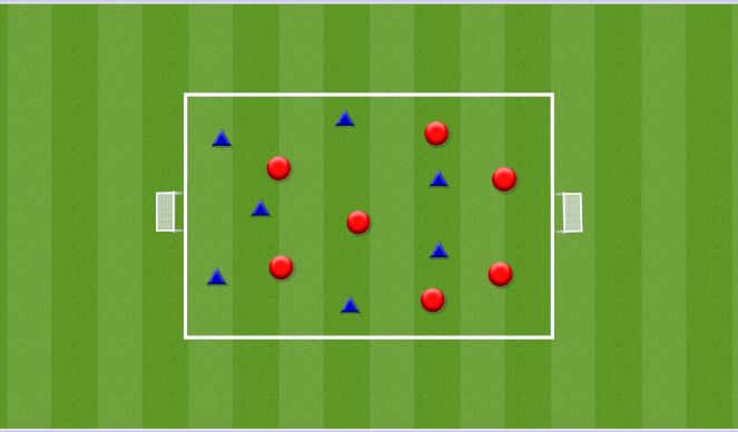 Football/Soccer Session Plan Drill (Colour): SSG