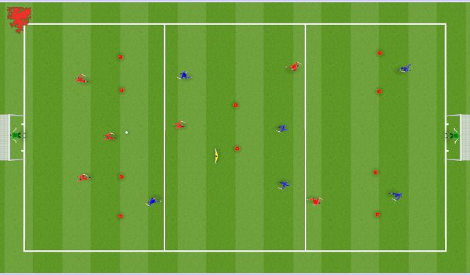 Football/Soccer Session Plan Drill (Colour): SSG