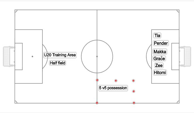 Football/Soccer Session Plan Drill (Colour): Penalties + Possession