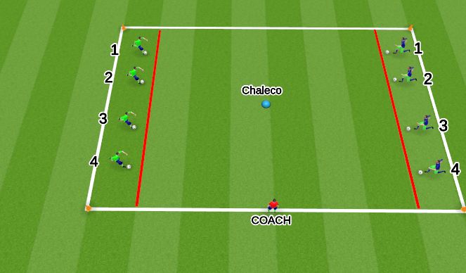 Fútbol Ejercicio del Plan de Sesiones (Color): Pañuelito con Balon