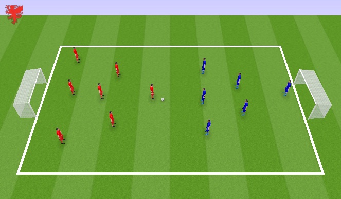 Football/Soccer Session Plan Drill (Colour): SSG