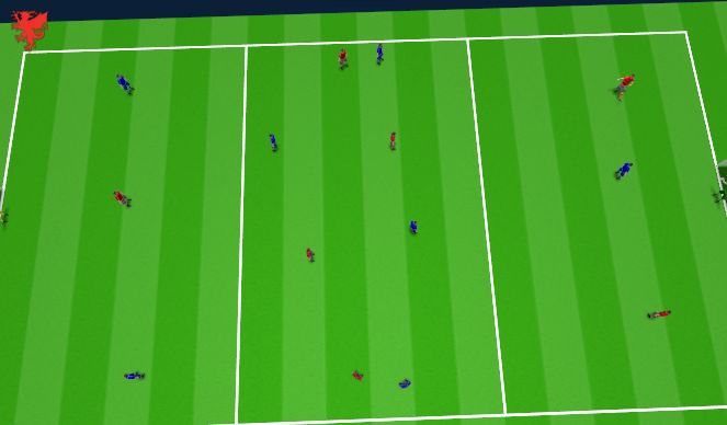 Football/Soccer Session Plan Drill (Colour): SSG